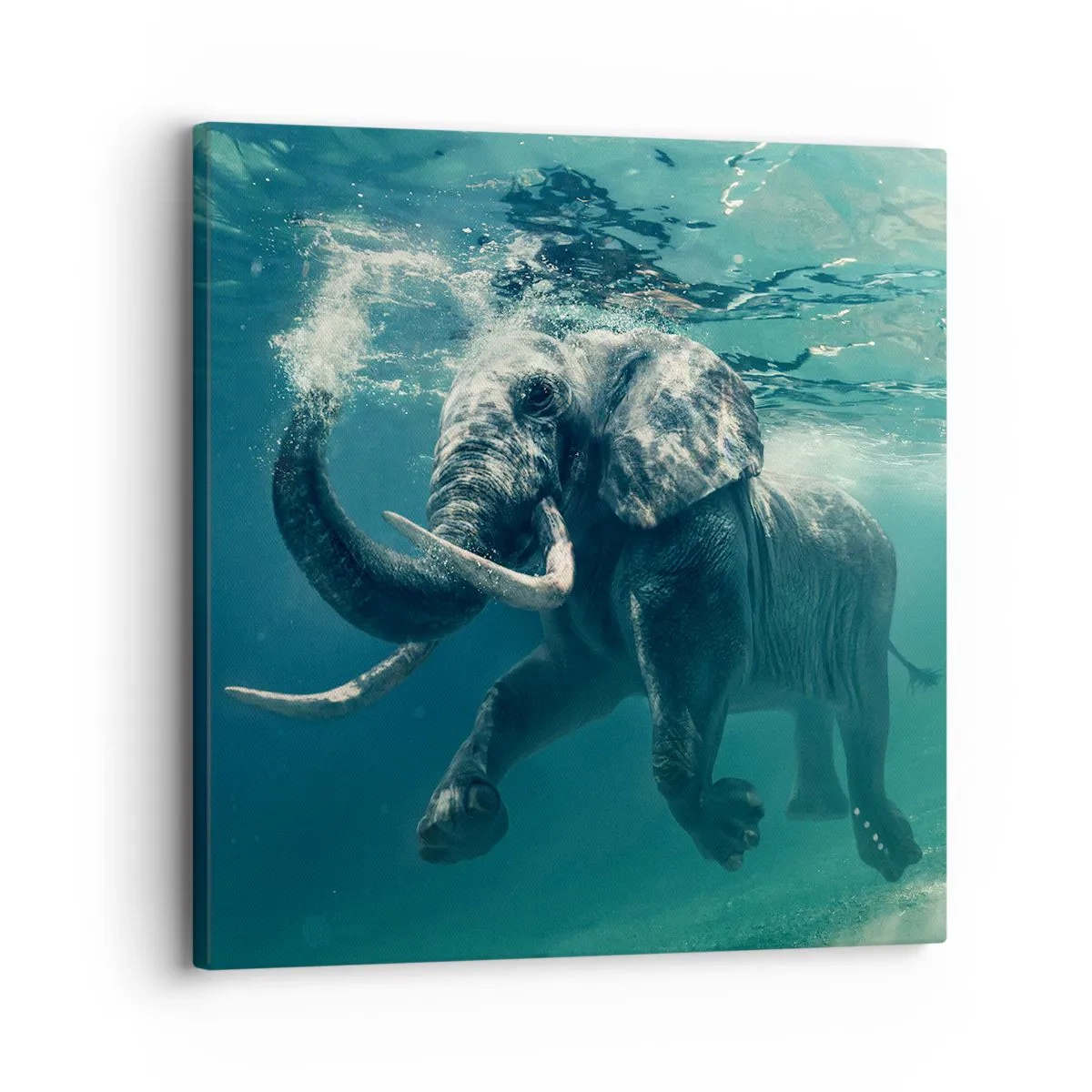Lærredstryk - Billede på lærred - Alle kan lide at svømme - 30x30 cm