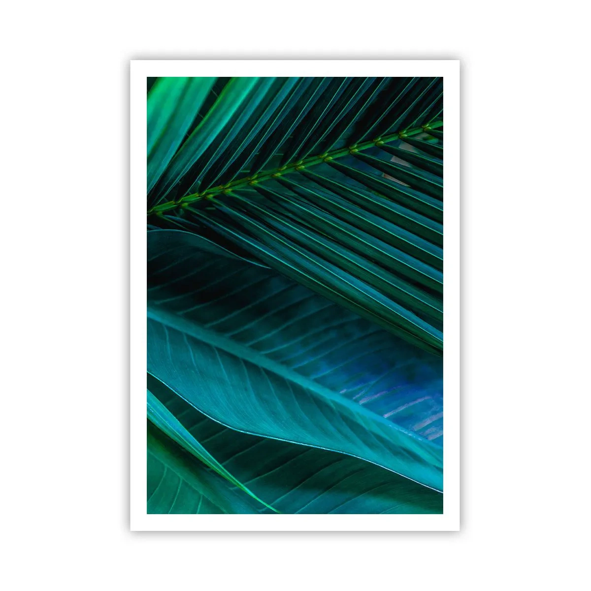 Plakat - Anatomi af en grøn - 70x100 cm