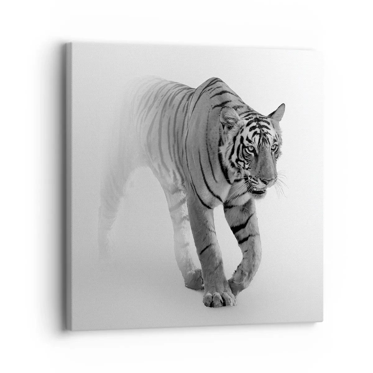 Lærredstryk - Billede på lærred - Krybende i tågen - 30x30 cm