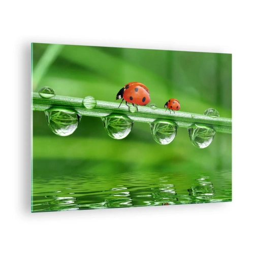 Billede på glas - Mariehøns på et græsstrå med dugdråber og refleksion i vandet - 70x50cm - På farten hele sommeren - Moderne vægdekoration til stue og soveværelse ARTTOR