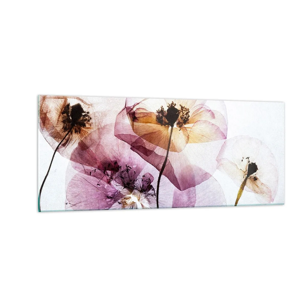 Billede på glas - Blomsterlegeme dias - 100x40 cm