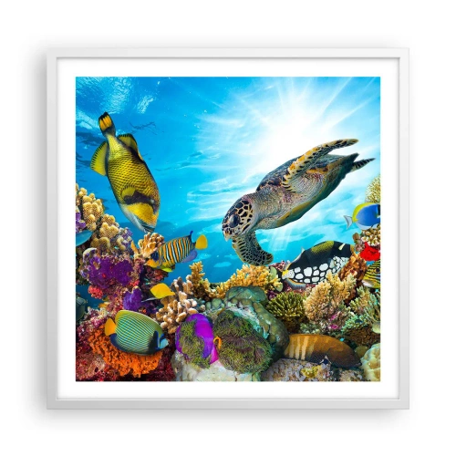 Plakat i hvid ramme - Koralpromenade - 60x60 cm