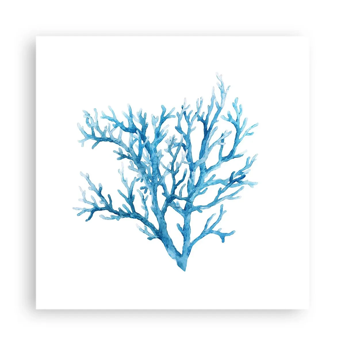 Plakat - Marint filigran - 40x40 cm