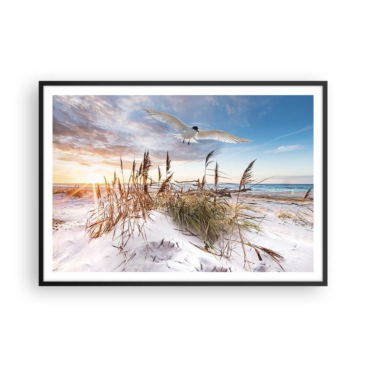 Plakat i sort ramme - Vind fra havet - 100x70 cm
