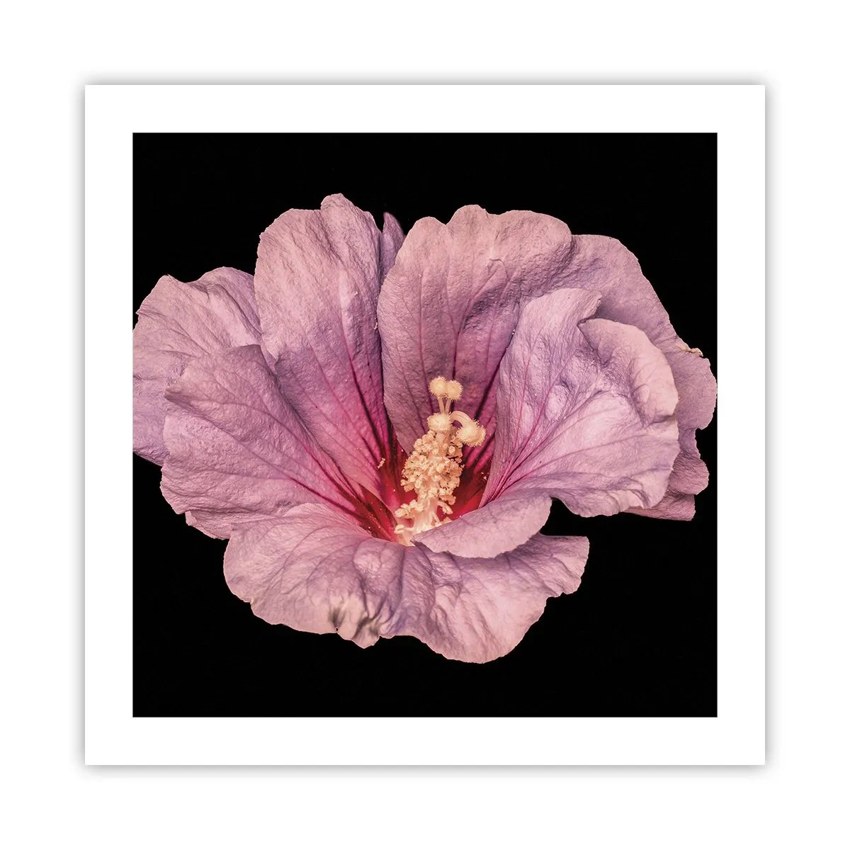 Plakat - Lige i hjertet - 50x50 cm