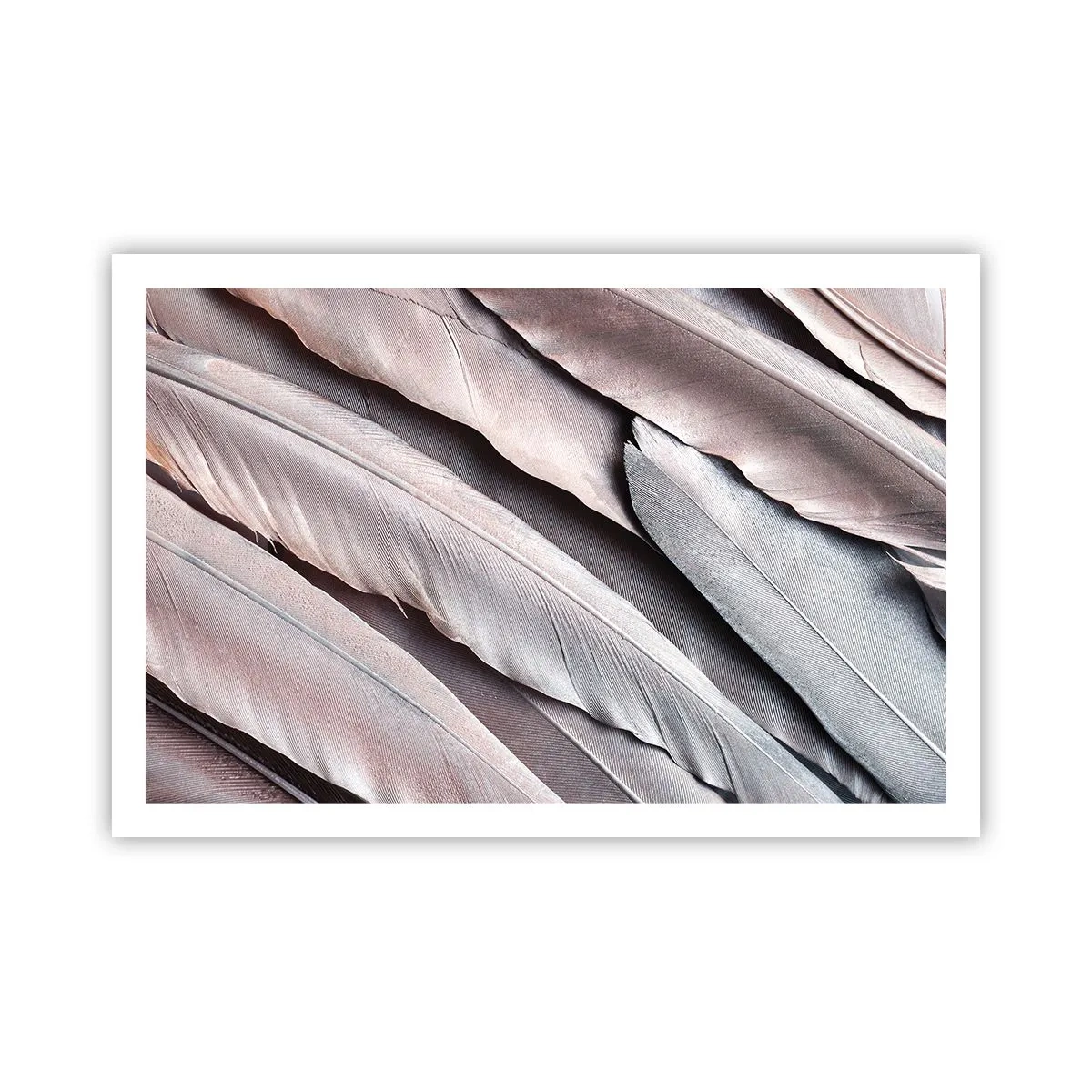 Plakat - I lyserødt sølv - 91x61 cm