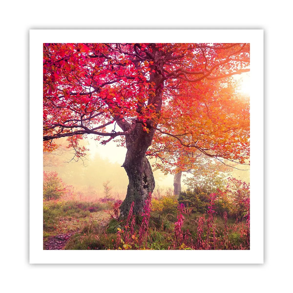 Plakat - Et væld af blomstring - 60x60 cm