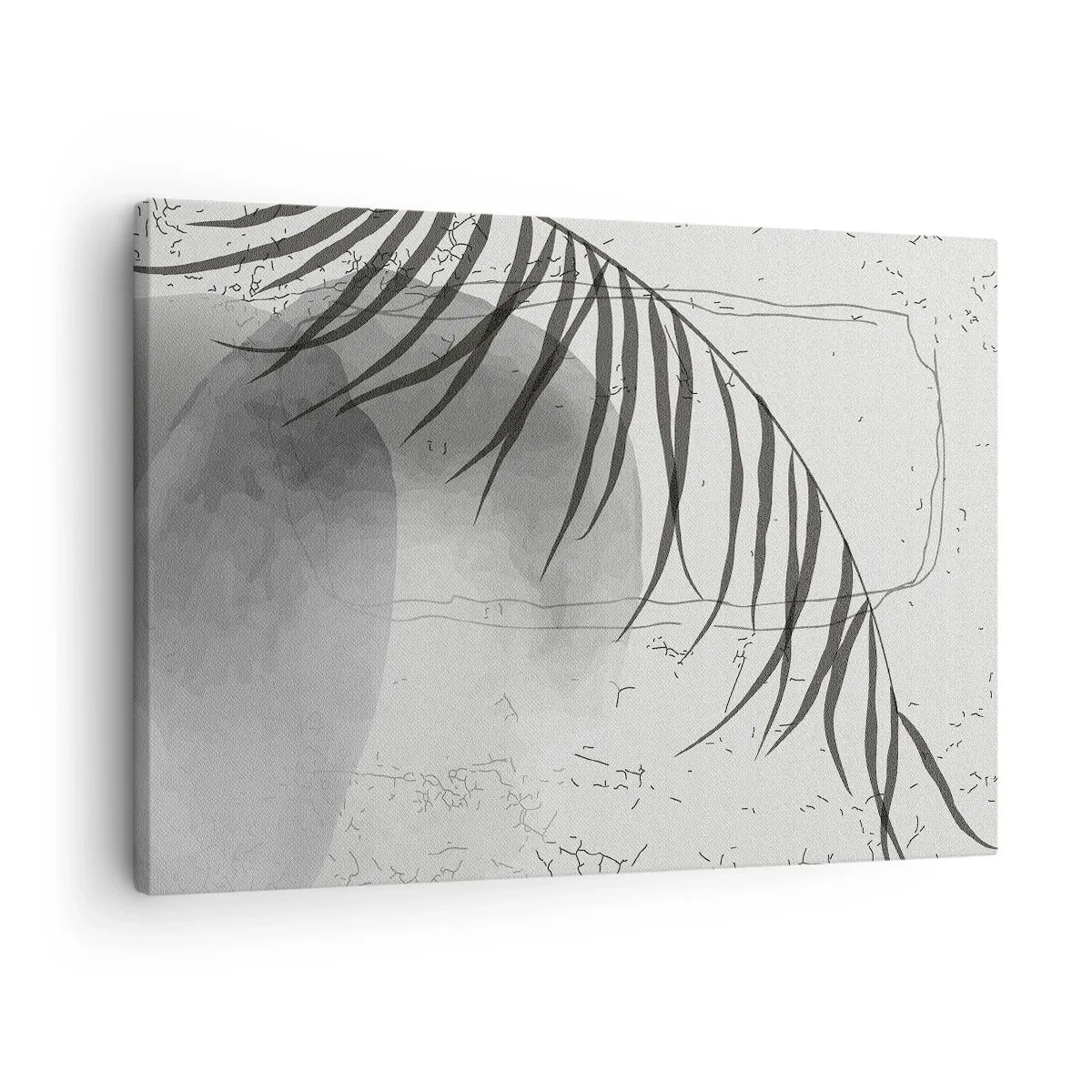 Lærredstryk - Billede på lærred - Et delikat palmebladsmotiv på en lys baggrund i skandinavisk stil. - 70x50cm - Den subtile eksotisme i naturen - Moderne vægdekoration til stue og soveværelse ARTTOR