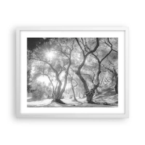 Plakat i hvid ramme - I en olivenlund - 50x40 cm
