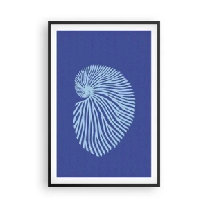 Plakat i sort ramme - Fødsel af en skal - 61x91 cm