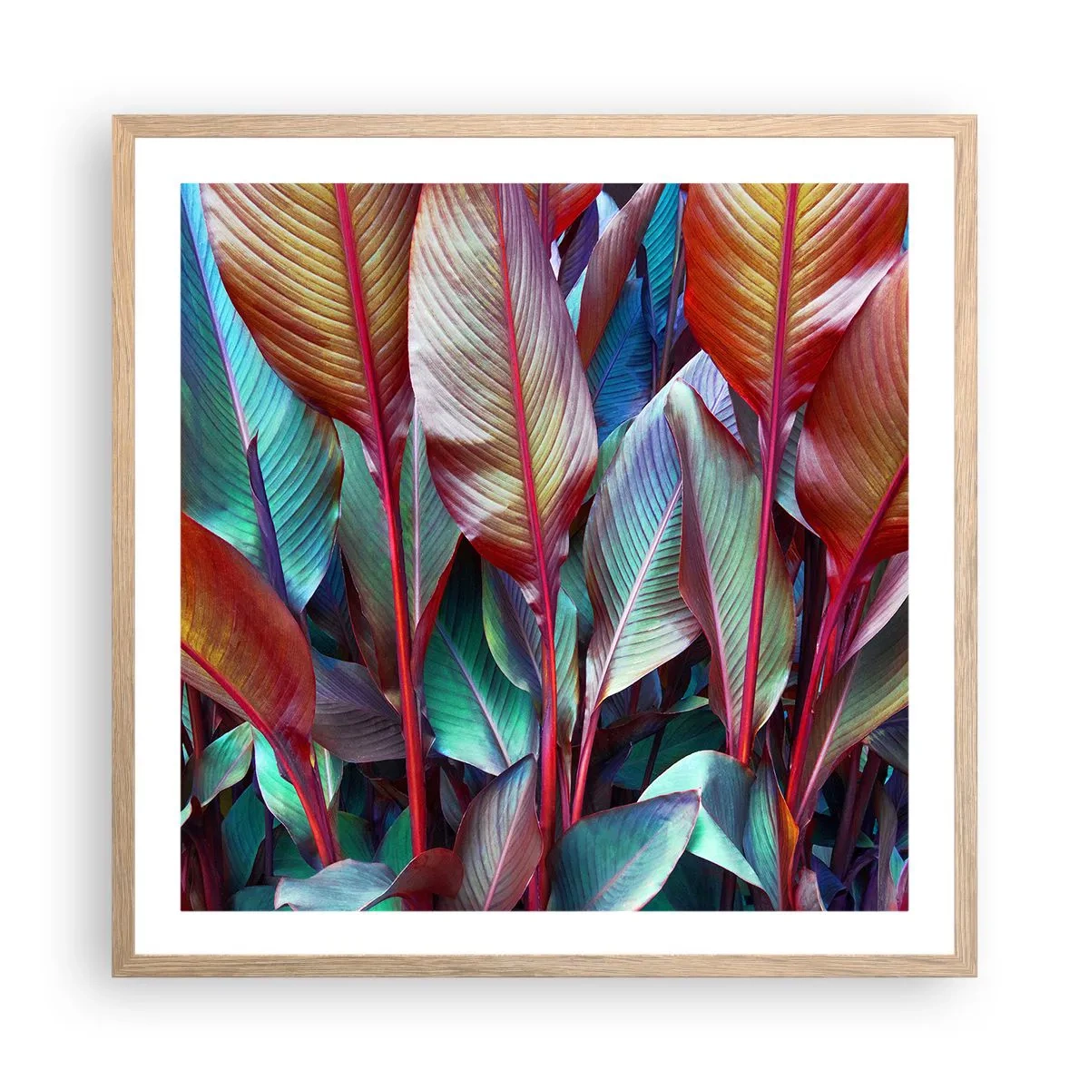 Plakat i ramme af lyst egetræ - Farverigt krat - 60x60 cm