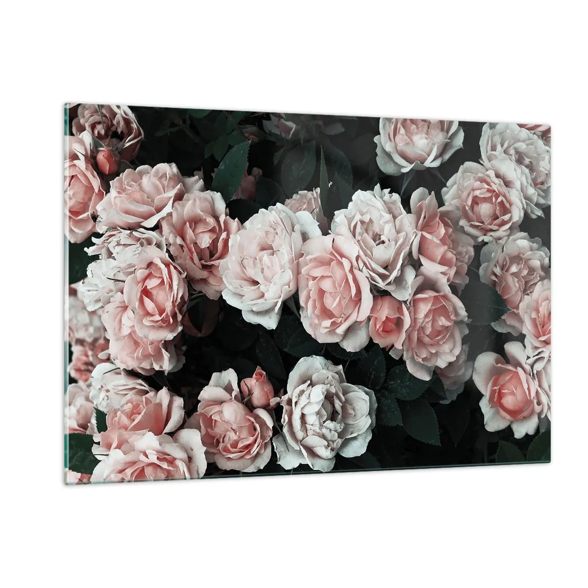 Billede på glas - Lyserød ansamble - 120x80 cm
