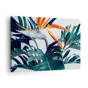 Lærredstryk - Billede på lærred - Strelitzia-blomst omgivet af blade i klart lys - 70x50cm - Fuglebur - Moderne vægdekoration til stue og soveværelse ARTTOR