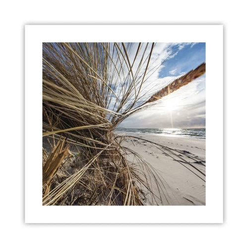 Plakat - Et møde mellem elementerne - 40x40 cm