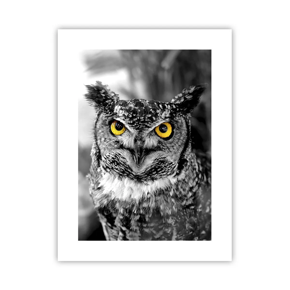 Plakat - Intet kan skjules - 30x40 cm