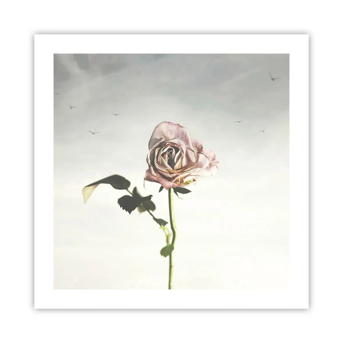 Plakat - Velkomst til foråret - 50x50 cm