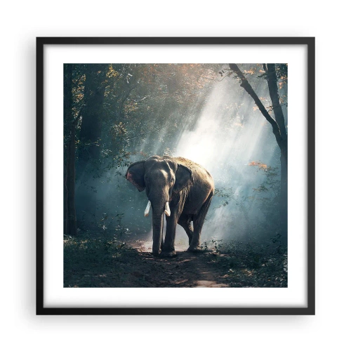 Plakat i sort ramme - En fredelig gåtur - 50x50 cm