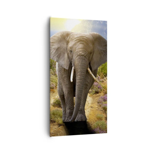 Lærredstryk - Billede på lærred - Sådan så Eden ud - 65x120 cm