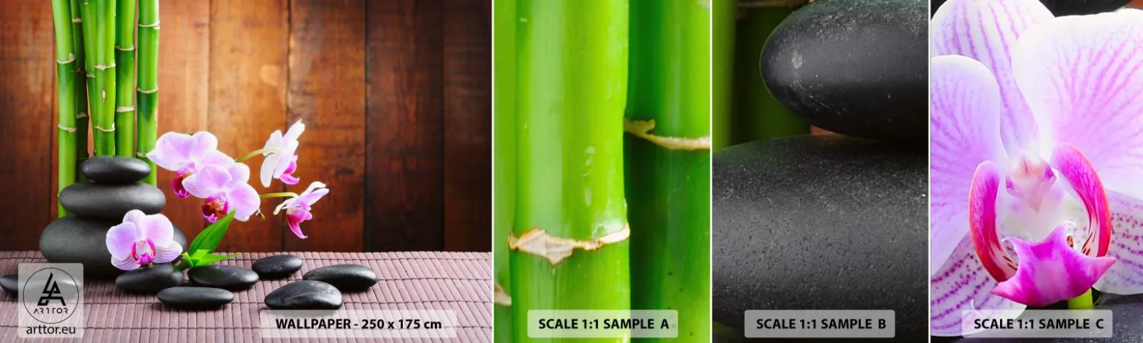 Fototapet Prøve Standard Eco - Oplev Østens fornøjelser - Blomster, Orkidé, Orkidé - 100x30 cm