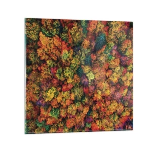 Billede på glas - Buket af efterårstræer - 70x70 cm