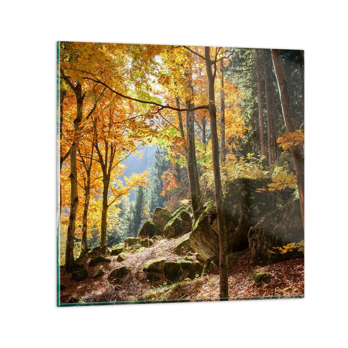 Billede på glas - Tid til at slappe af - 60x60 cm