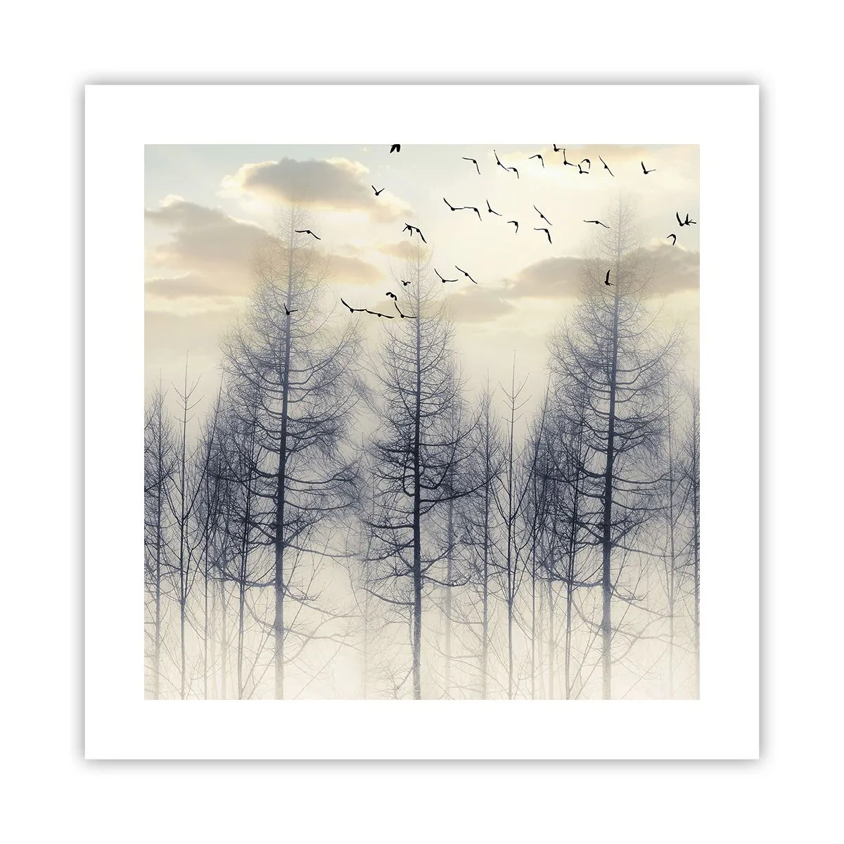 Plakat - Skovånder - 40x40 cm