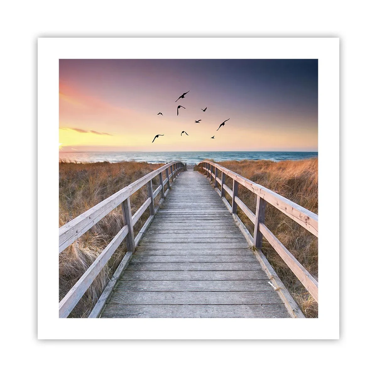 Plakat - Rummet med højder - 50x50 cm