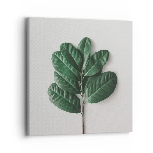 Lærredstryk - Billede på lærred - Tegning af selve naturen - 30x30 cm
