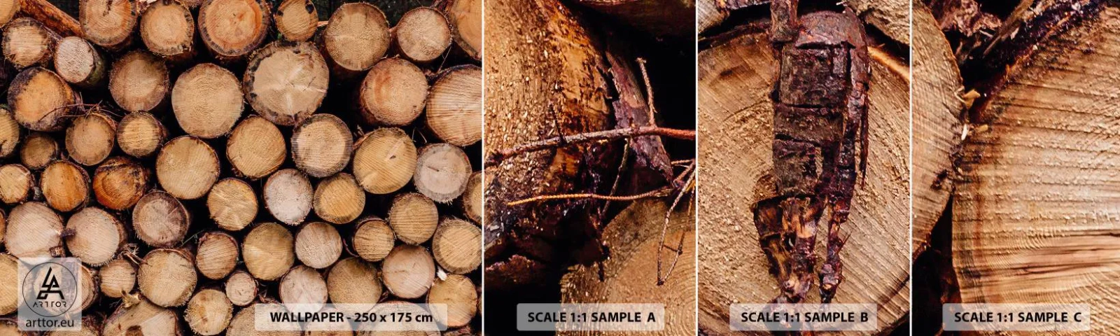 Fototapet Prøve Standard Eco - En ny begyndelse - Træ, Træstammer, Natur - 100x30 cm