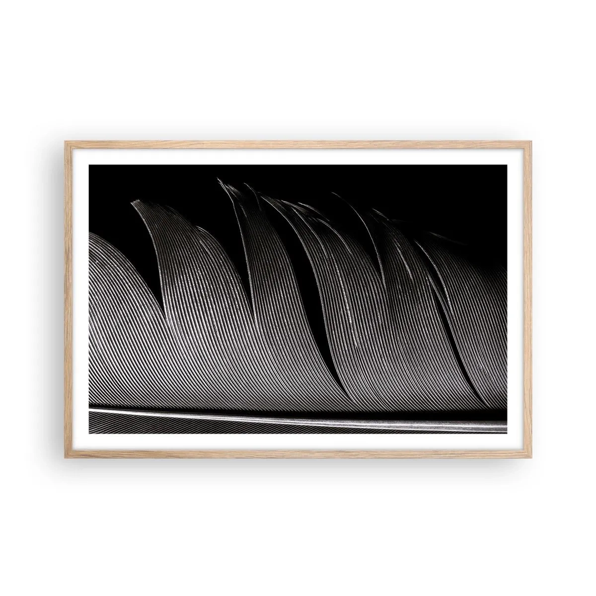 Plakat i ramme af lyst egetræ - Fjer - en vidunderlig konstruktion - 91x61 cm