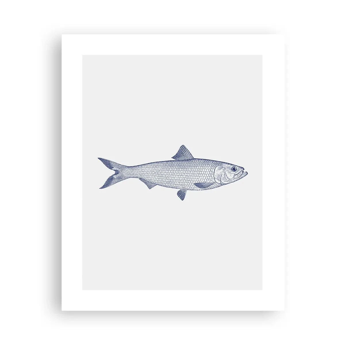 Plakat - Hilsner fra de nordlige have - 40x50 cm