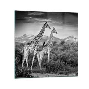 Billede på glas - Afrikas overklasse - 30x30 cm