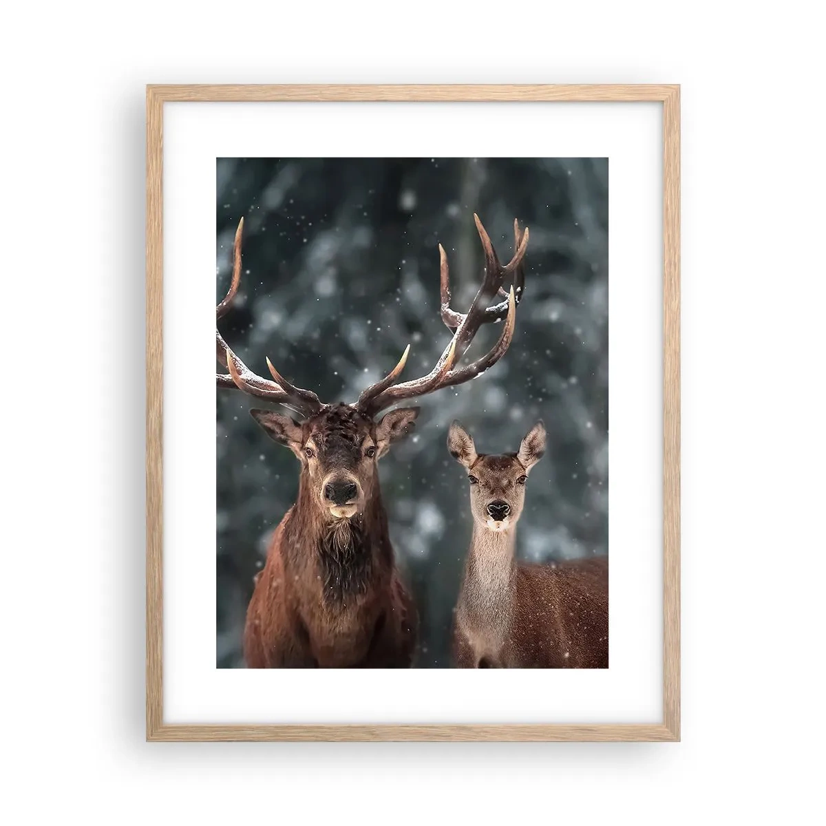 Plakat i ramme af lyst egetræ - Skovens herre og hans kone - 40x50 cm