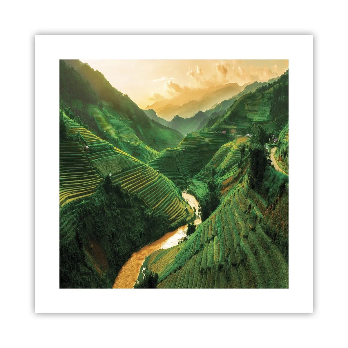 Plakat - Vietnamesisk dal - 40x40 cm