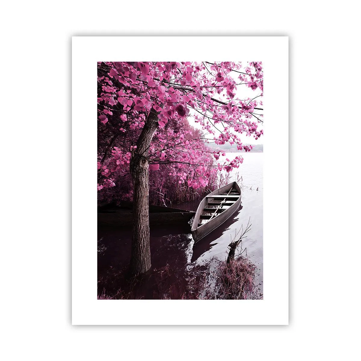Plakat - I lyserød stilhed - 30x40 cm