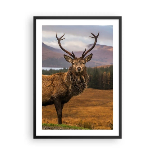 Plakat i sort ramme - Fotografi af en hjort mod et bjerglandskab - 50x70cm - Naturens majestæt - Moderne vægdekoration til stue og soveværelse ARTTOR