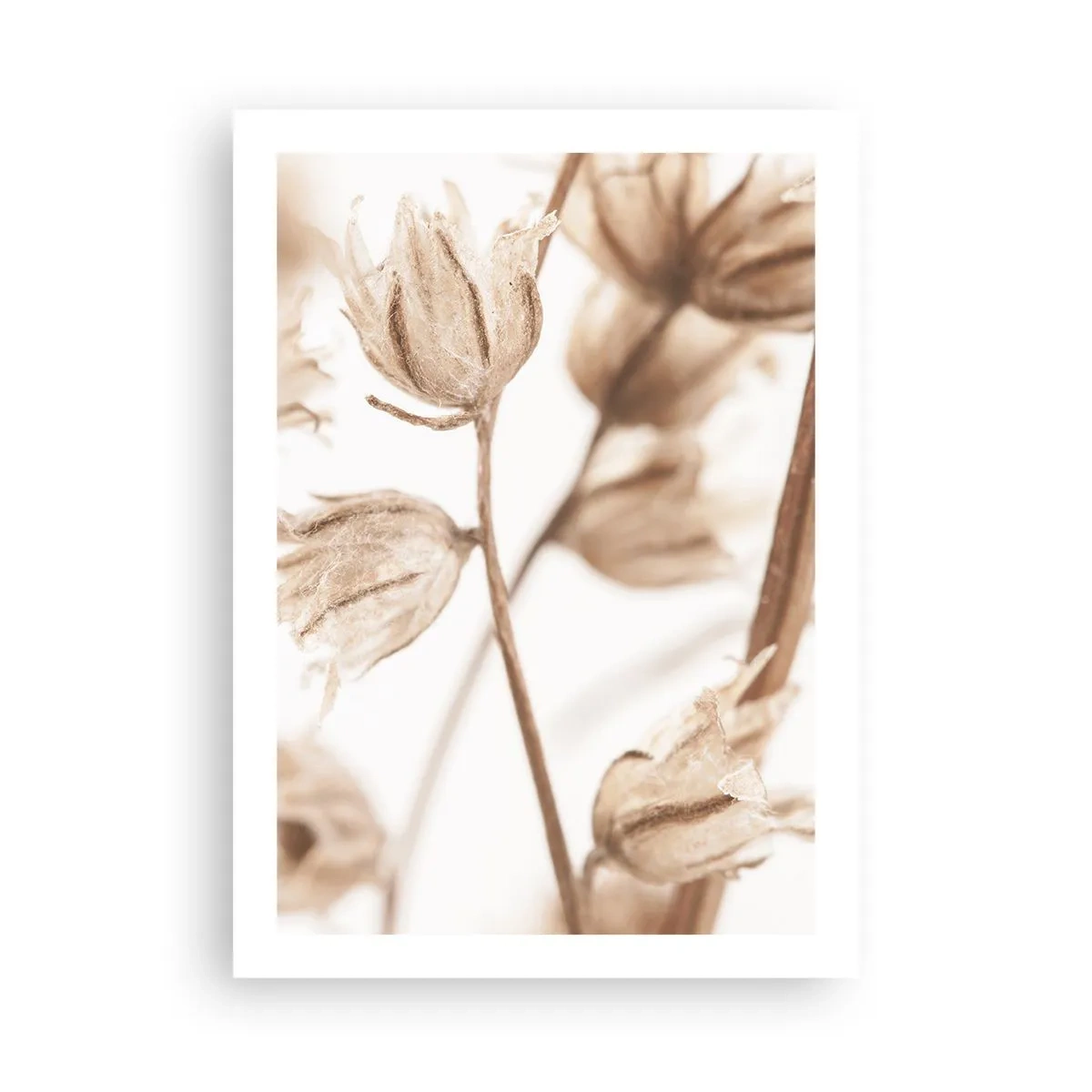 Plakat - De kalder på slutningen af sommeren - 50x70 cm