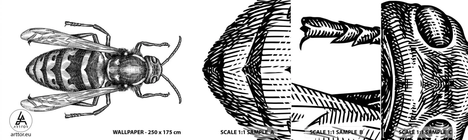 Fototapet Prøve Standard Eco - Fra en insektplanet - Hveps, Insekt, Minimalistisk - 100x30 cm