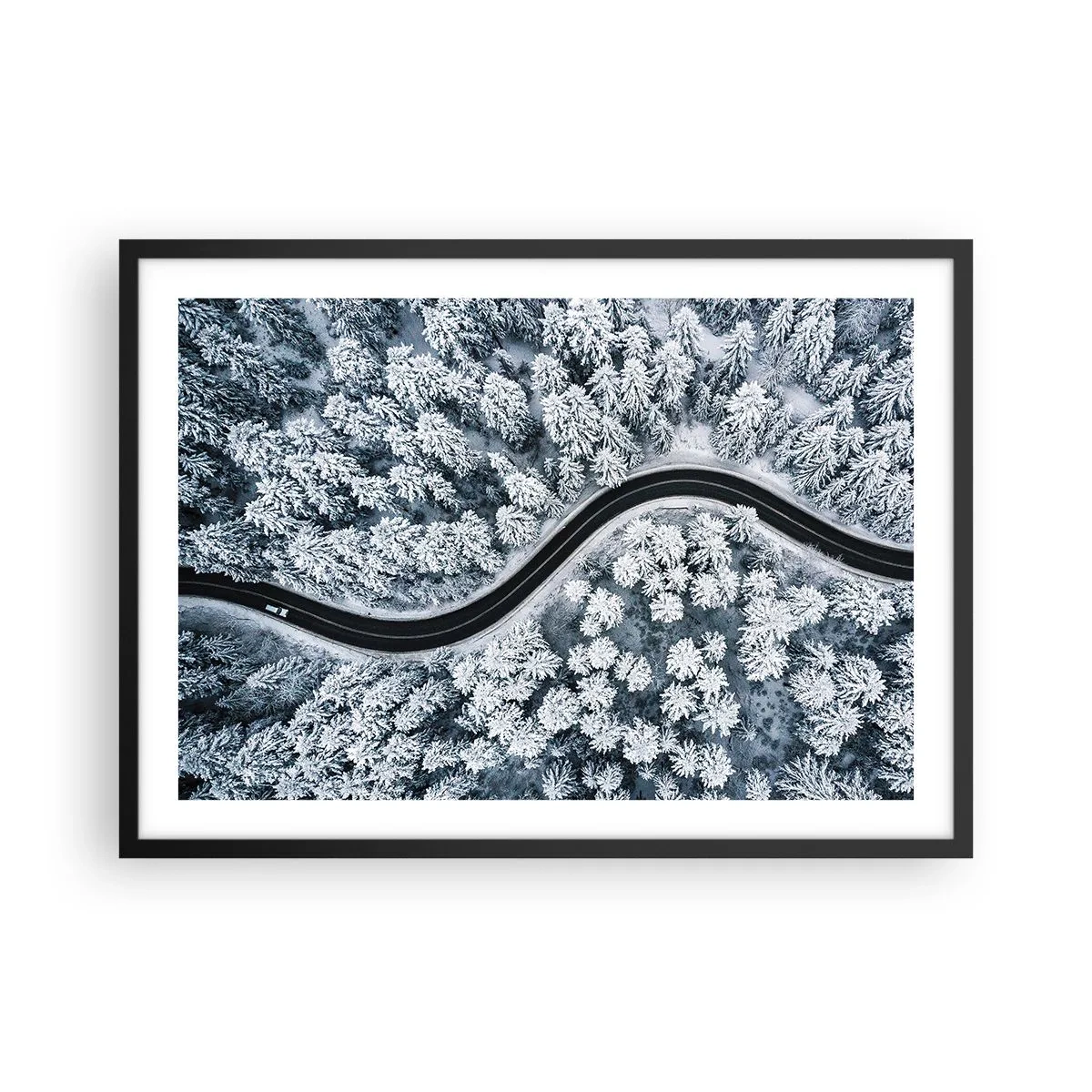 Plakat i sort ramme - Gennem en vinterskov - 70x50 cm