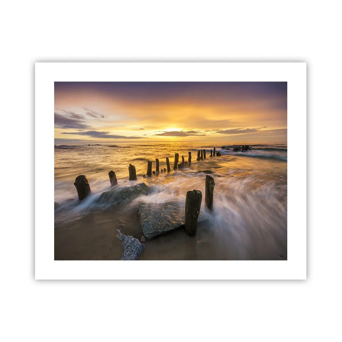 Plakat - Østersøens rå skønhed - 50x40 cm