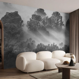 Fototapet Premium Sand - At vågne fra søvnen - Landskab, Skov, Tåge - 100x70 cm