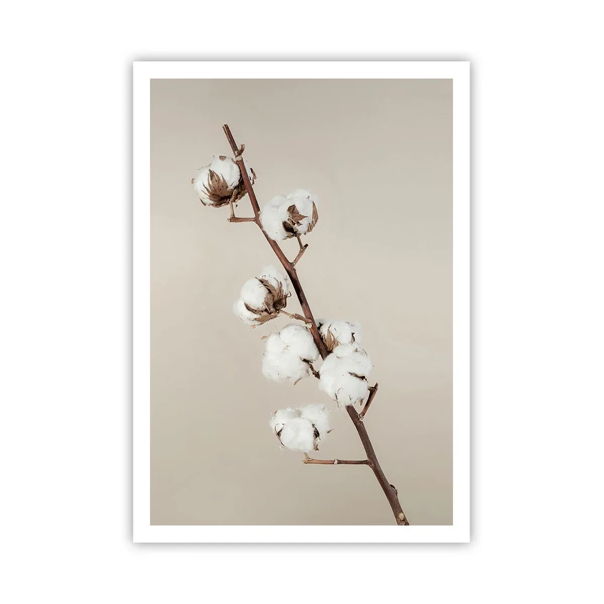 Plakat - Ved kilden til blødhed - 70x100 cm