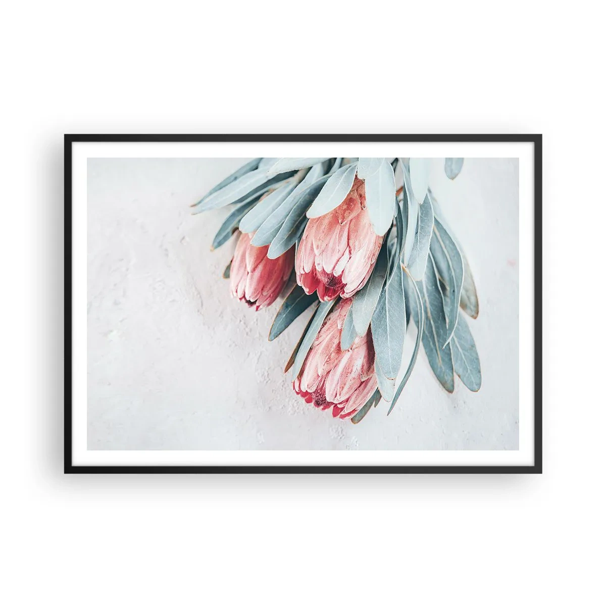 Plakat i sort ramme - Skammer sig over deres egen skønhed - 100x70 cm