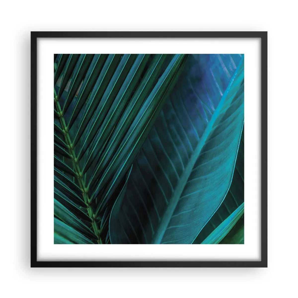 Plakat i sort ramme - Anatomi af en grøn - 50x50 cm