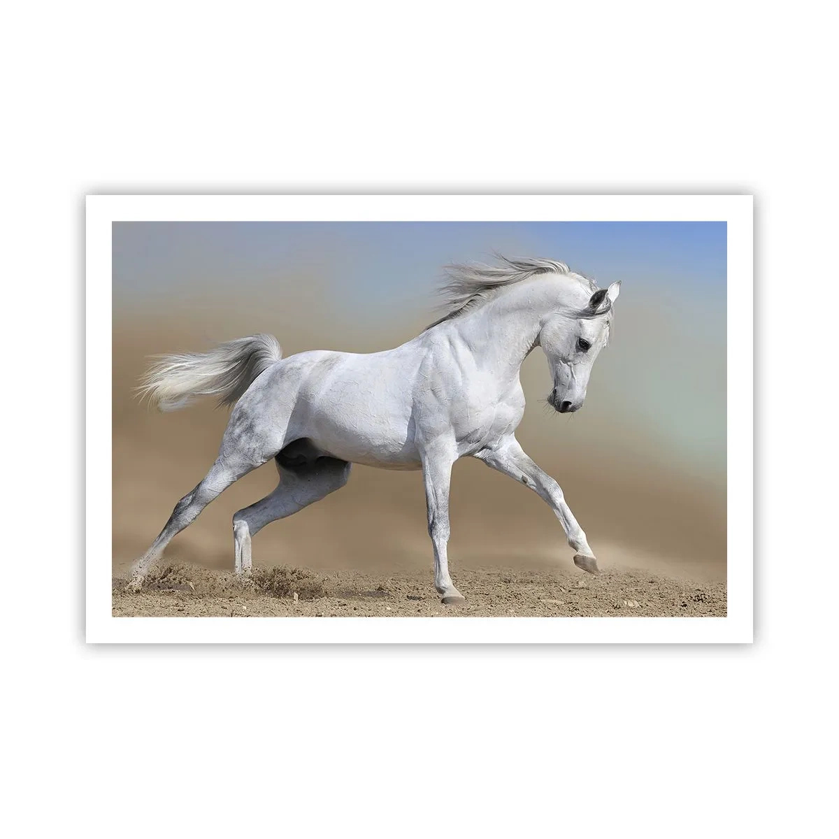 Plakat - Den smukkeste arabiske fortælling - 91x61 cm