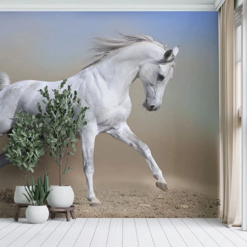 Fototapet Selvklæbende Deluxe Sticker - Den smukkeste arabiske fortælling - Hest, Dyr, Galop - 100x70 cm