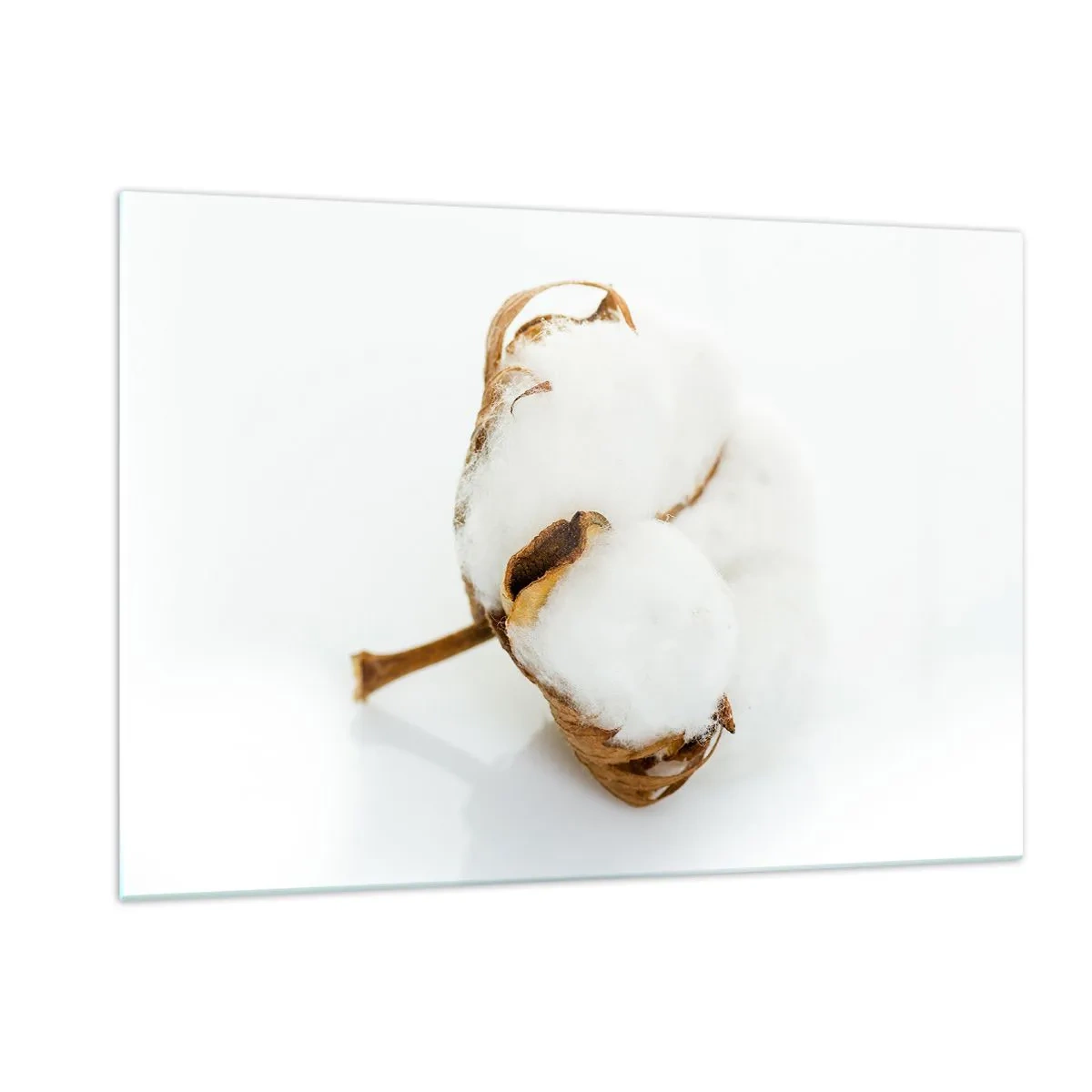 Billede på glas - Blød af natur - 120x80 cm