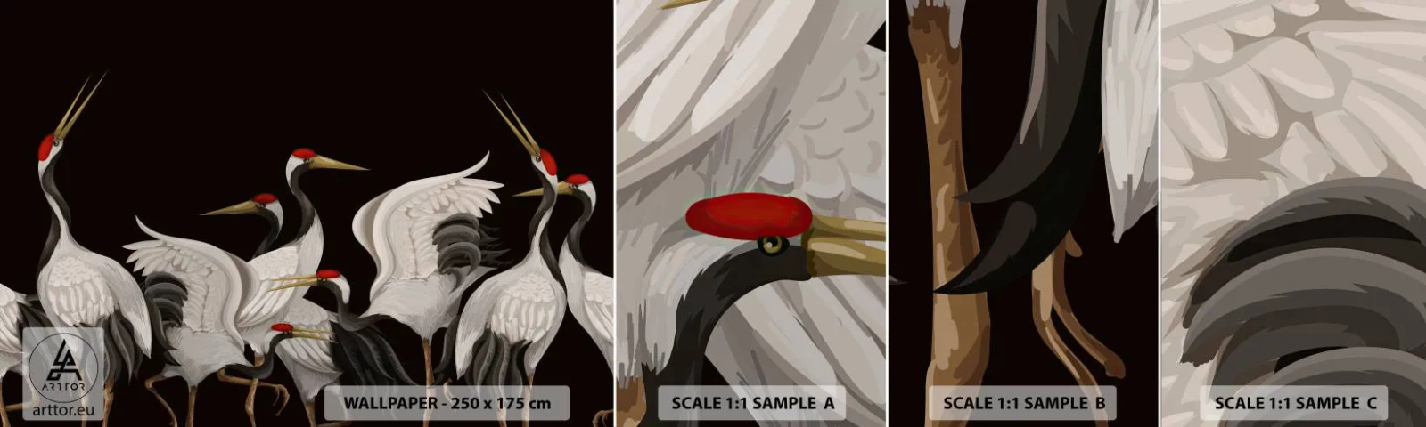 Fototapet Prøve Standard Eco - Fugle anliggender - Kraner, Fugle, Stykke - 100x30 cm