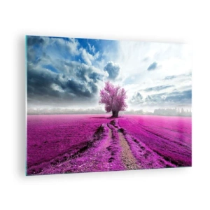 Billede på glas - Et træ i en lyngmark under en dynamisk himmel - 70x50cm - Hedeslette - charmerende - Moderne vægdekoration til stue og soveværelse ARTTOR