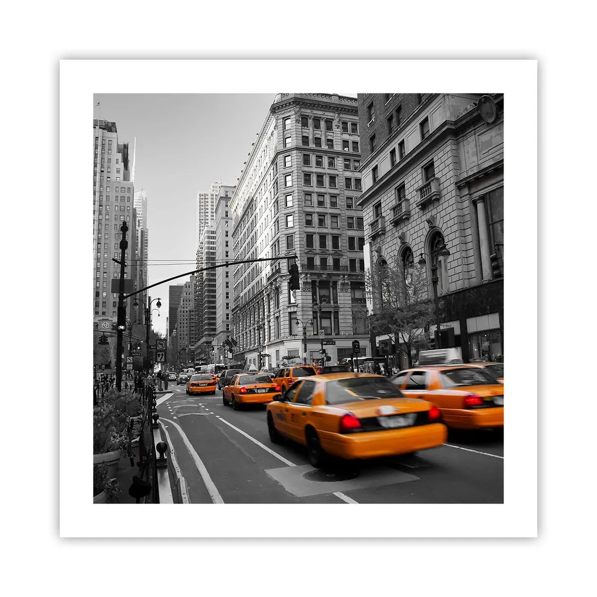 Plakat - Storbyens sol - 50x50 cm